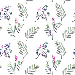 Fototapeta premium Seamless pattern with wild herbs isolated on white background. Watercolor illustration