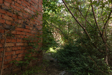 an old abandoned house made of red stone among the wild.