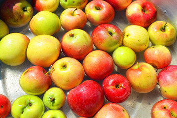 Ukrainian bright and colorful, fresh apples plucked from a tree and lying with water for washing. Bright tasty background, natural food for health and beauty.