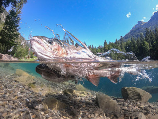 Fantastic panorama of blausee lake / Blausee, Switzerland. Picturesque summer in Swiss alps, Bernese Oberland, Europe. Beauty of nature with trout concept background. 