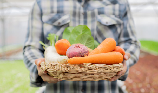 Farmer holding a basket of organic vegetables.
