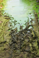 Deep mud, clay oil mixture, quagmire on the banks of the Samara River.