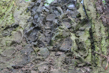 Deep mud, clay oil mixture, quagmire on the banks of the Samara River.