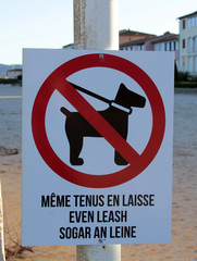 chien interdit