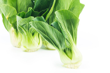 Pok Choi on white background