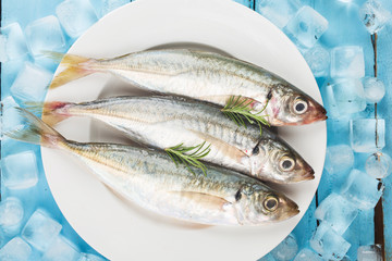Fish mackerel，raw mackerel with and spices