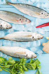 Fish mackerel，raw mackerel with and spices