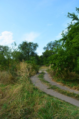 Beautiful natural background with an unusual landscape and forest beauty near the Samara River. Green hills, trees, shrubs with bright sky in the Shevchenko housing estate, Dnipro city, Ukraine.