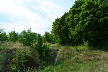 Beautiful natural background with an unusual landscape and forest beauty near the Samara River. Green hills, trees, shrubs with bright sky in the Shevchenko housing estate, Dnipro city, Ukraine.
