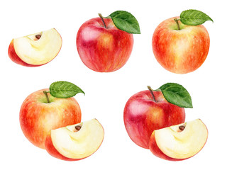 Apple set watercolor illustration isolated on white background