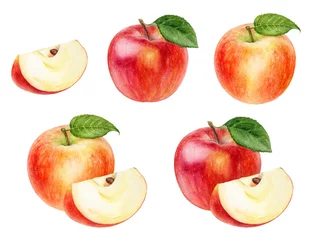 Fotobehang Apple set watercolor illustration isolated on white background © cosmicanna