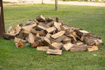 Firewood has been cut and waits for a campfire