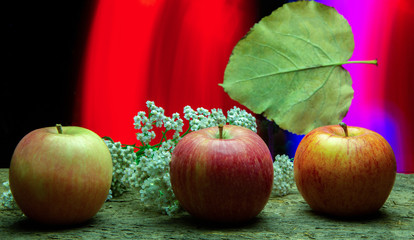 In this still life three apples symbolise autumn