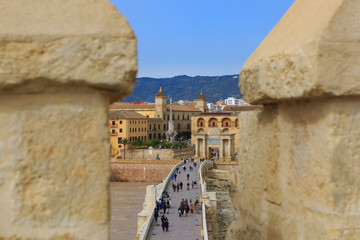 Cordoba,Spain,2,2014;Aerial view from Calahorra Tower