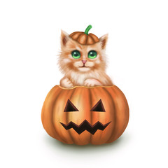 The character of cute cat sitting big pumpkin behind have the small bat and moon