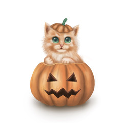 The character of cute cat sitting big pumpkin behind have the small bat and moon