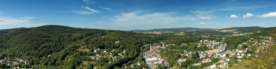 Fototapeta na wymiar Panorama of the village of Eppstein