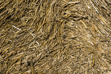texture background of haystack on a village field on a sunny day