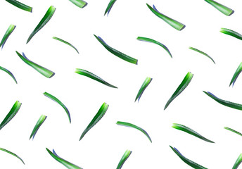 Seamless aloe vera leaves pattern on the white background. Top view