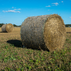 haystack on a village field on a sunny day