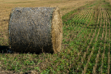 haystack on a village field on a sunny day