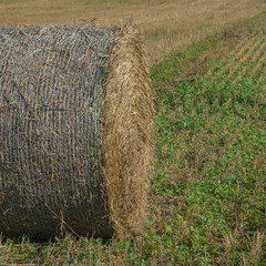 haystack on a village field on a sunny day