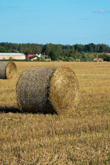 haystack on a village field on a sunny day