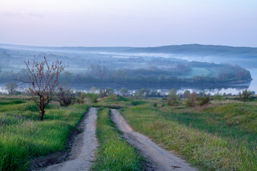 Fototapeta na wymiar morning reeds mist fog and surface on the river