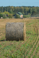 haystack on a village field on a sunny day