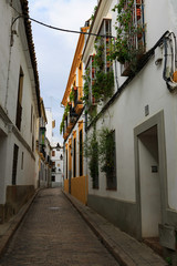 Cordoba,Spain,2,2104;different streets, squares, churches and shops