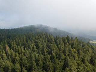 Schwarzwald aus der Luft