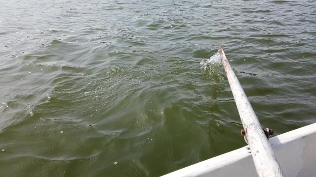 Rowing oar in the water.