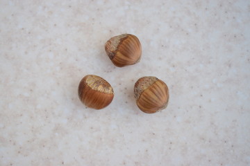 Obraz premium hazel trio