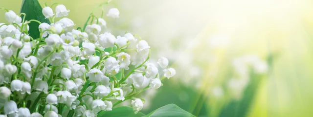 Muurstickers Lily of the valley (Convallaria majalis), blooming spring flowers, closeup with space for text © rustamank