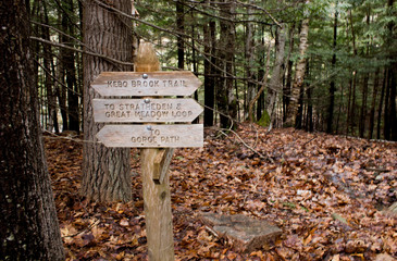 Wooden signpost in Acadia National Park