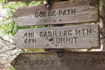 Wooden signpost in Acadia National Park