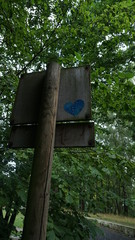 Hidden Love