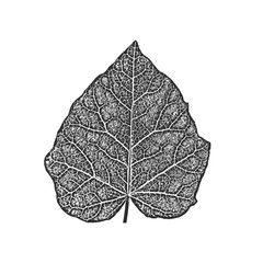 Distress old dry wooden texture. Black and white grunge background. Vector illustration