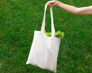 Female hand with cotton eco bag on green background. Zero waste concept
