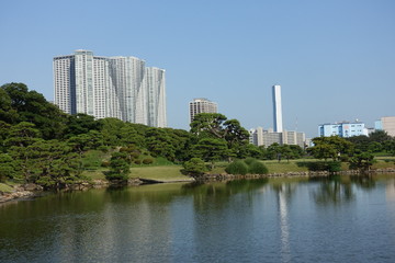 scorcio città di tokyo