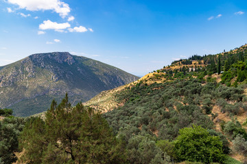 Fototapeta na wymiar Scenic view to mountain landscape with olive trees in Greece, valley of Phosis and Parnassus mountain near Delphi