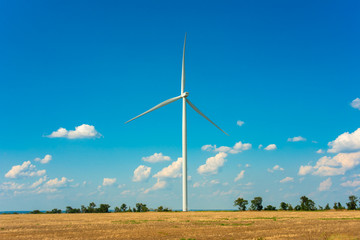 Wind generators with turbine engines and large blades. Electricity air generators are placed in the field.