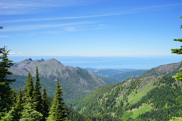 Beautiful  mountains in Olympic National Park in summer in Washington, near Seattle	
