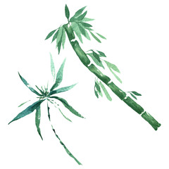 Bamboo green leaves and stalks. Watercolor background illustration set. Isolated bamboo illustration element.