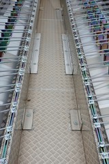 Rollender Radständer - Radtransporter - Detail