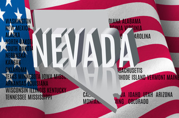 Fototapeta na wymiar Nevada inscription on American flag background .3D illustration