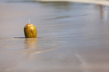 Fresh coconut on a sandy tropical beach with sea