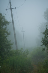 power lines and wires in the early foggy morning