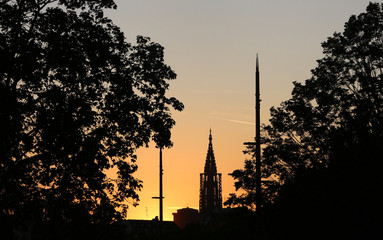 Strasbourg Cathedral silhouette between trees at sunset