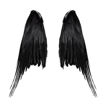 two big black raven wings with big feathers isolated on white background